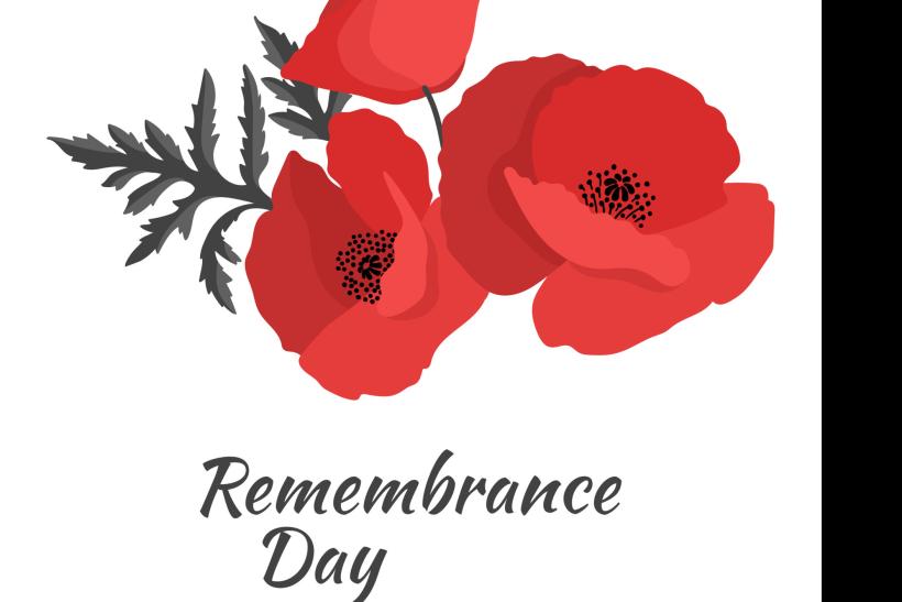 remembrance day poppies